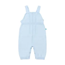 Baby Blue Cotton Pant Overalls